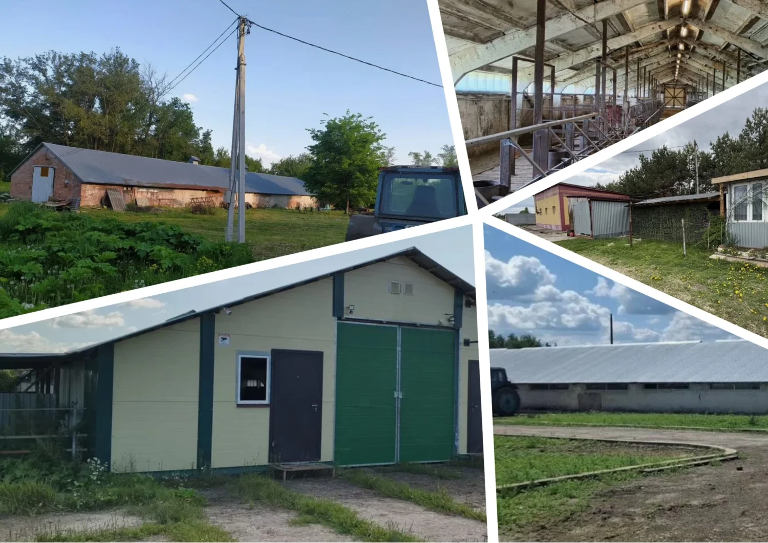 🏡В Тульской области распродают животноводческие фермы