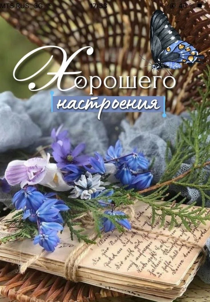 Доброе утро | Подпишись👇🏻