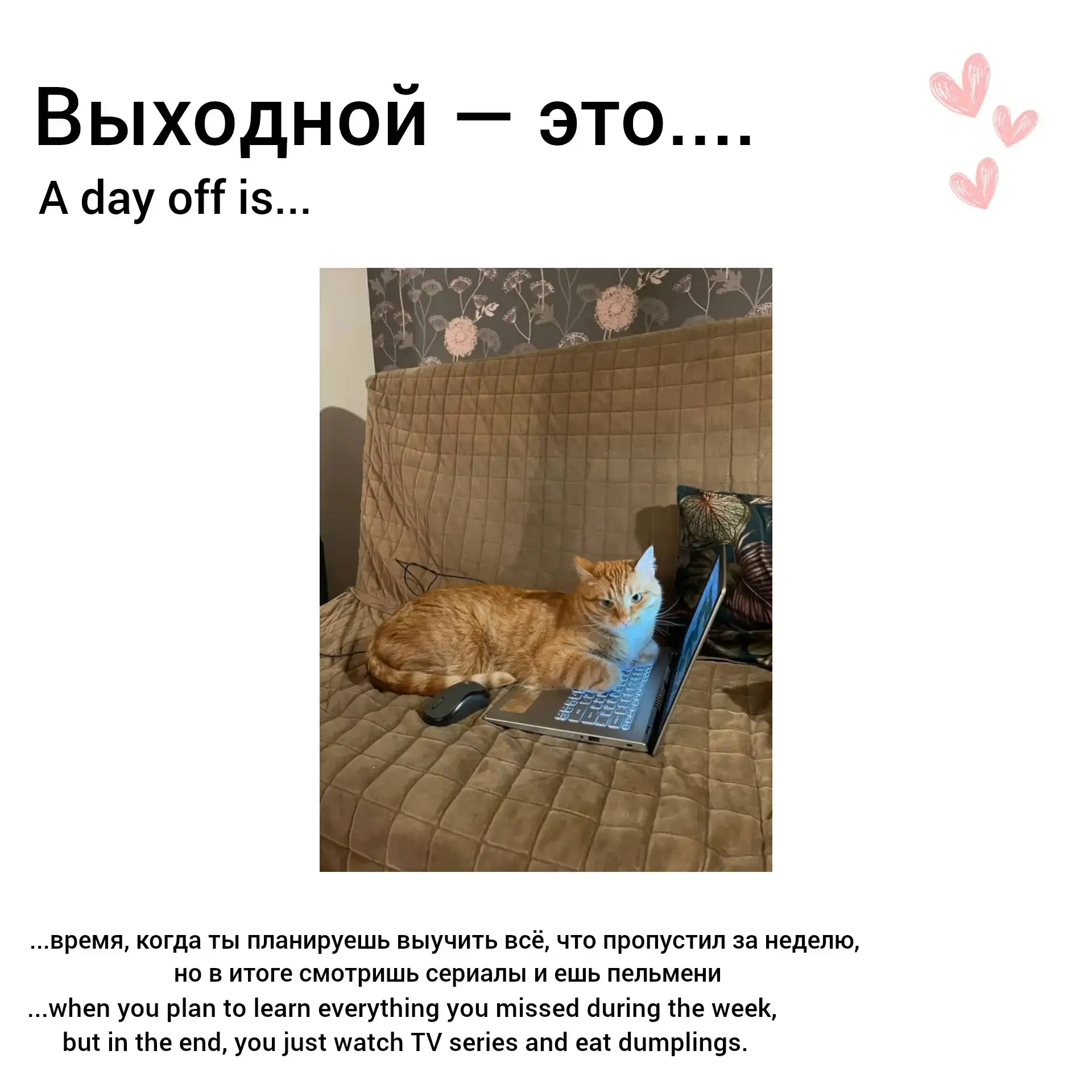 💛 Доброе утро, университет Достоевского

Ситуация на карточке вам знакома? И это абсолютно нормальн