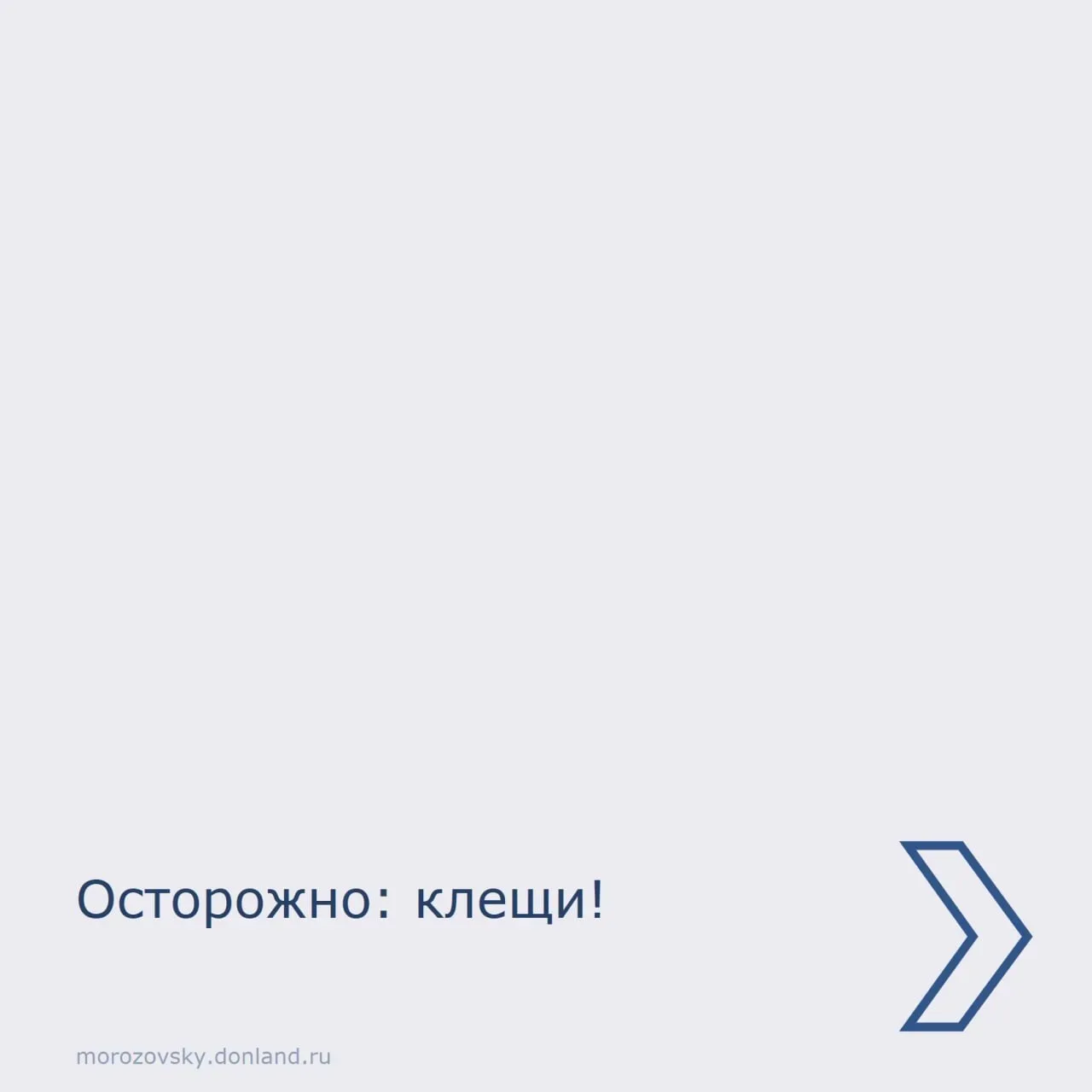 ⚠️ Внимание: сезон клещей открыт! Администрация Морозовского района напоминает о мерах ...