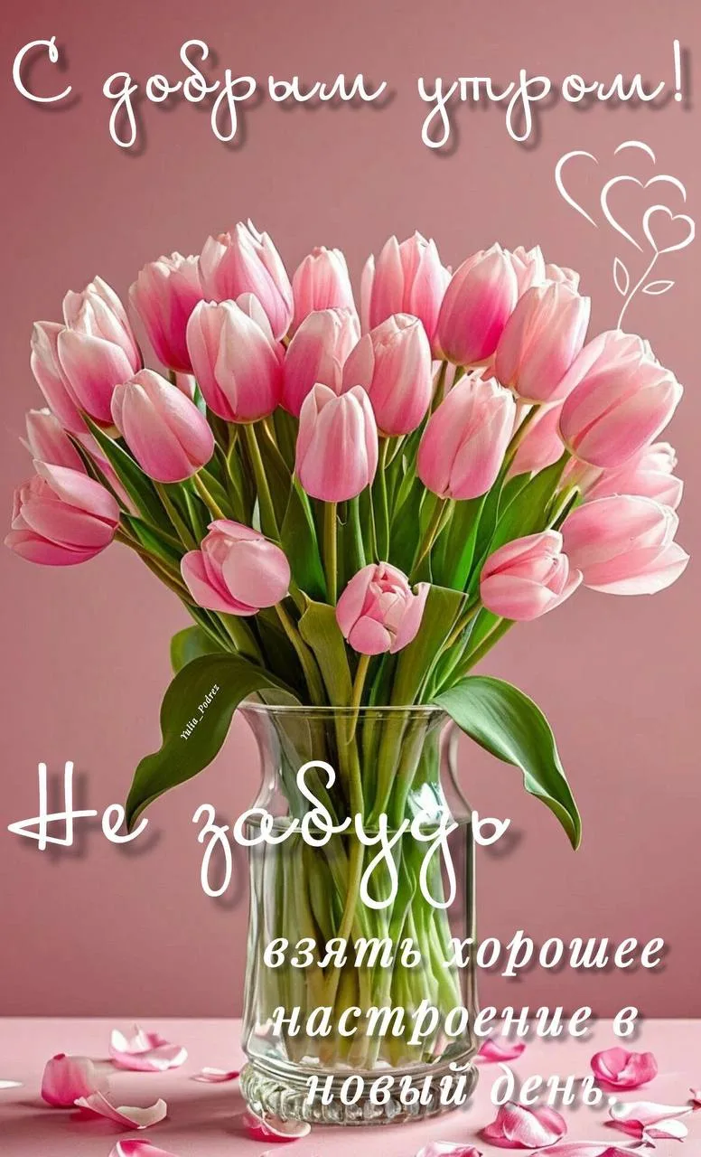 🥰Открытки и поздравления!
👉Подписаться