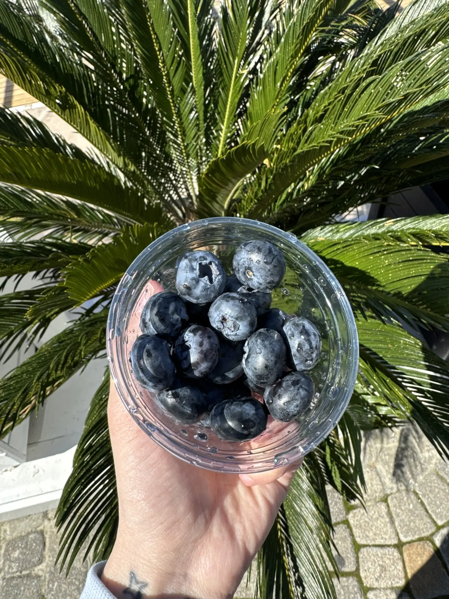 Доброе утро ♥️
Всех хороших выходных ☀️