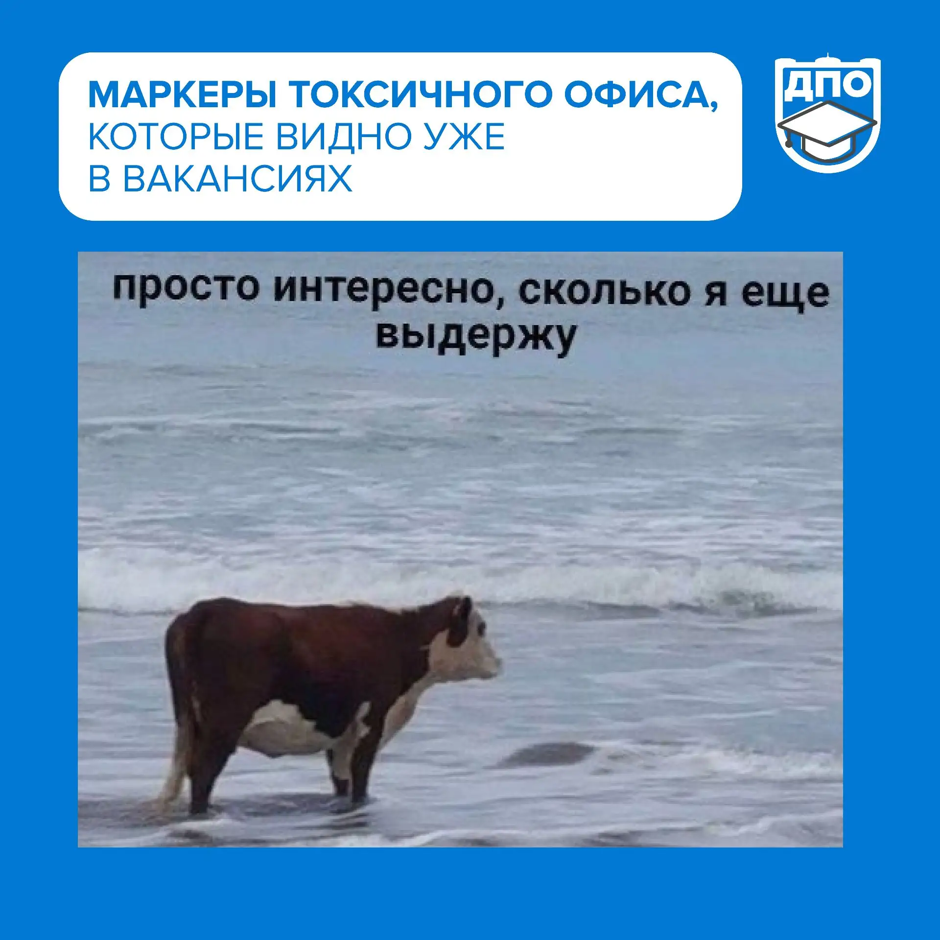 Когда рекрутёры пытаются замаскировать хаос в компании под «динамичную культуру», тогда...