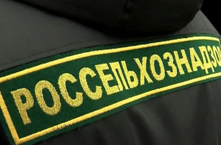 В Тверской области в мясе птицы обнаружена сальмонелла