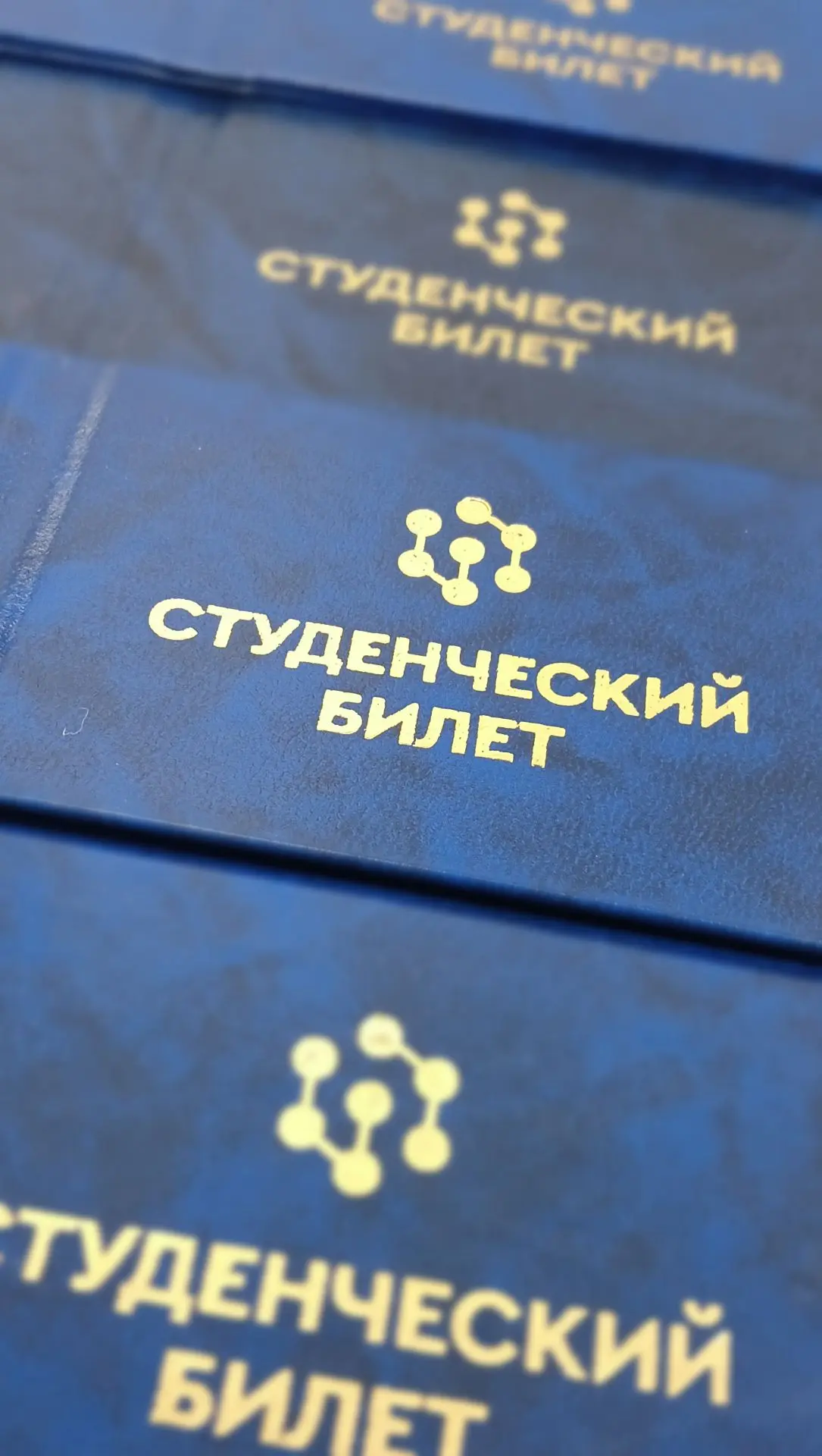 Фотографии для студенческого билета 📸