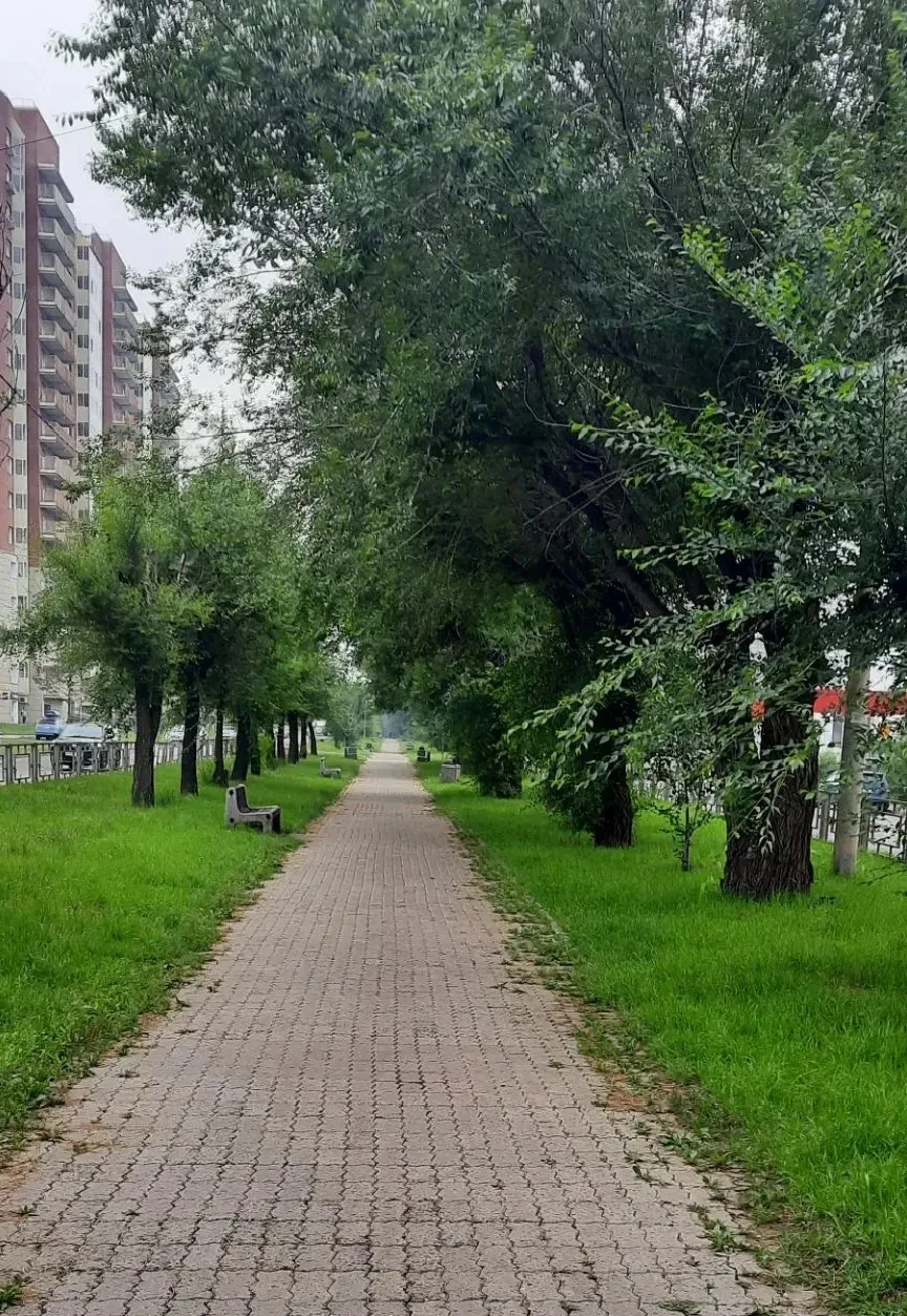 Уже завтра состоится  урбан-форум по благоустройству бульвара Ботанический ❇️

16 июля, в четверг, в