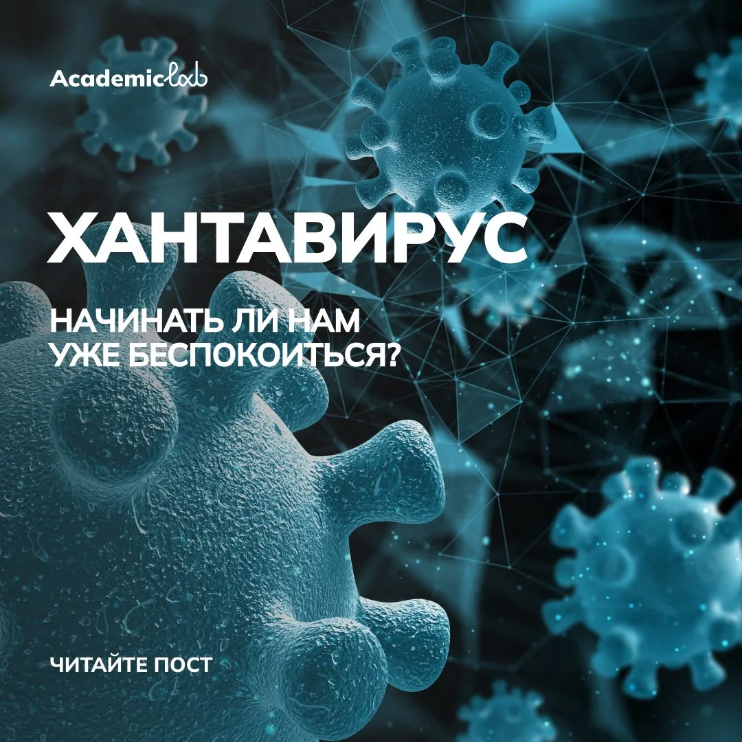 Хантавирус: то, о чем говорят сейчас повсюду