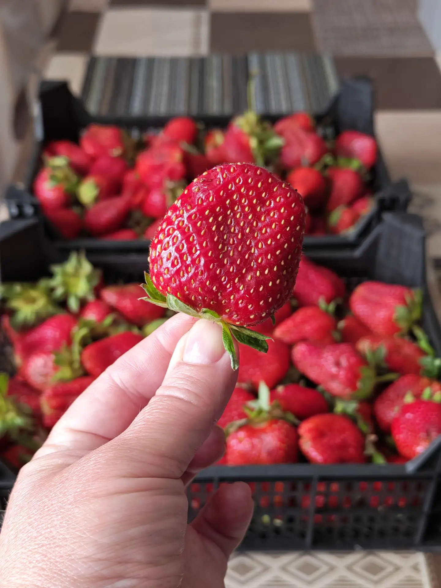 Сегодня самый вкусный день июня - официальный День клубники! 🍓 Не забудьте его отметить, ребята)) М
