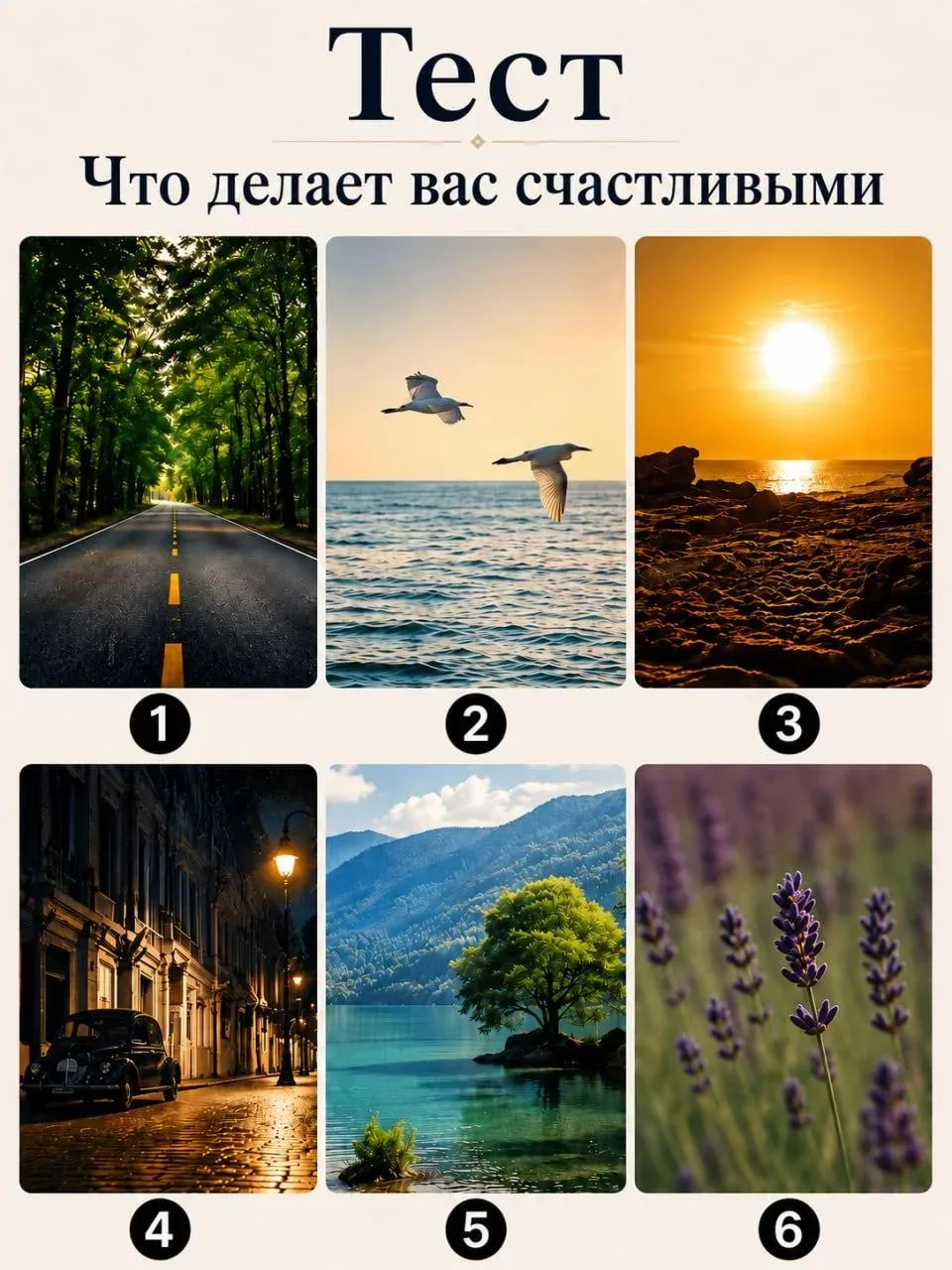 Тест: что делает нас счастливым?