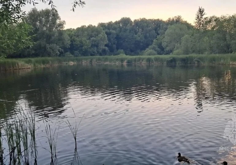 В Борском районе у села Коноваловка утонул мужчина