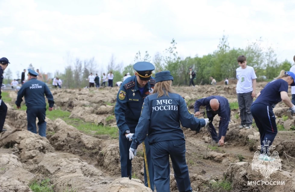 🌳Сотрудники МЧС России Подмосковья приняли участие в акции «Сад Памяти»  Московская область приняла 