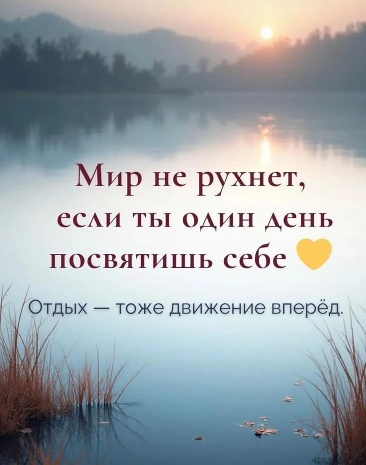 🌿 Иногда лучший способ двигаться вперёд — остановиться