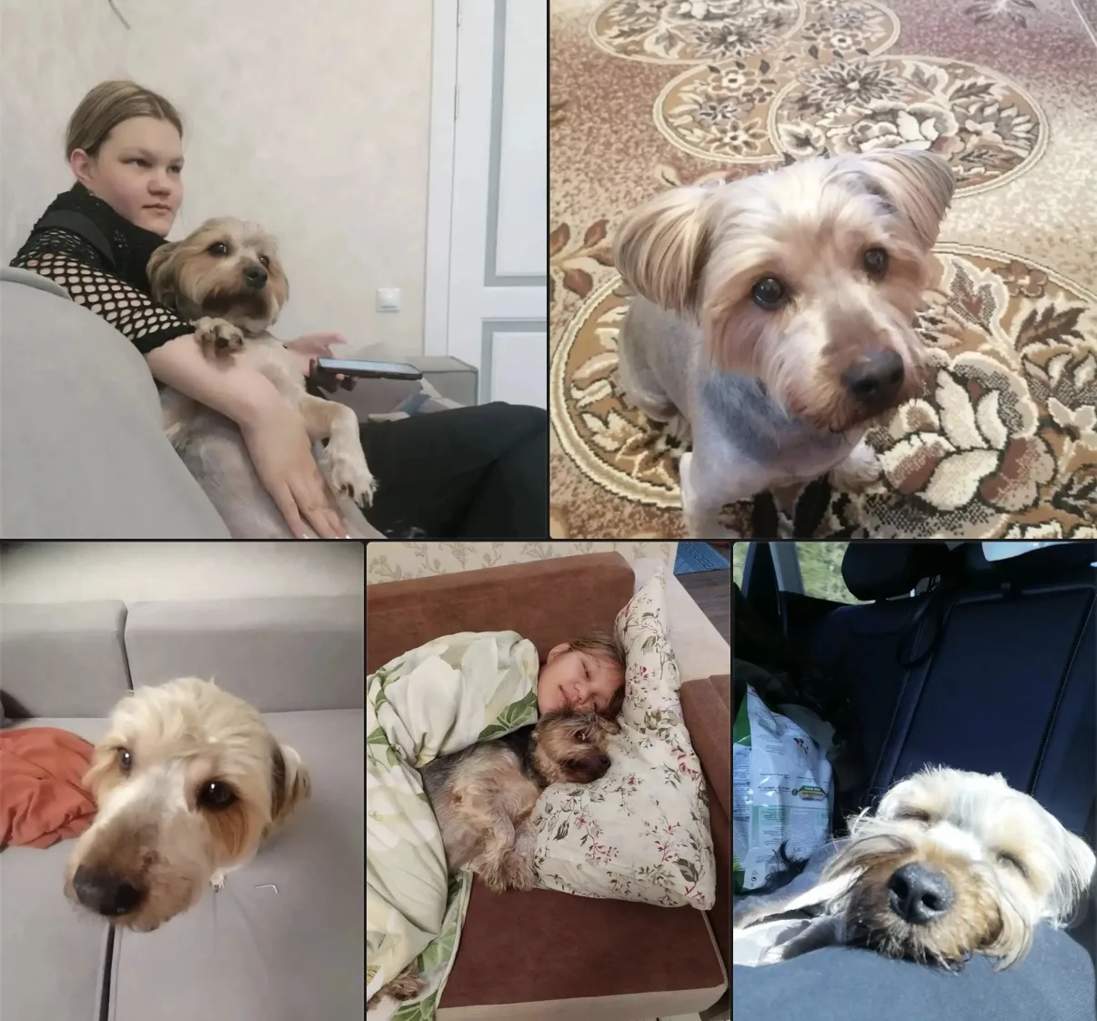 ✨ Акция «Тепло своими руками»: когда забота - это не просто слова!  Ученица 7Б класса Н...