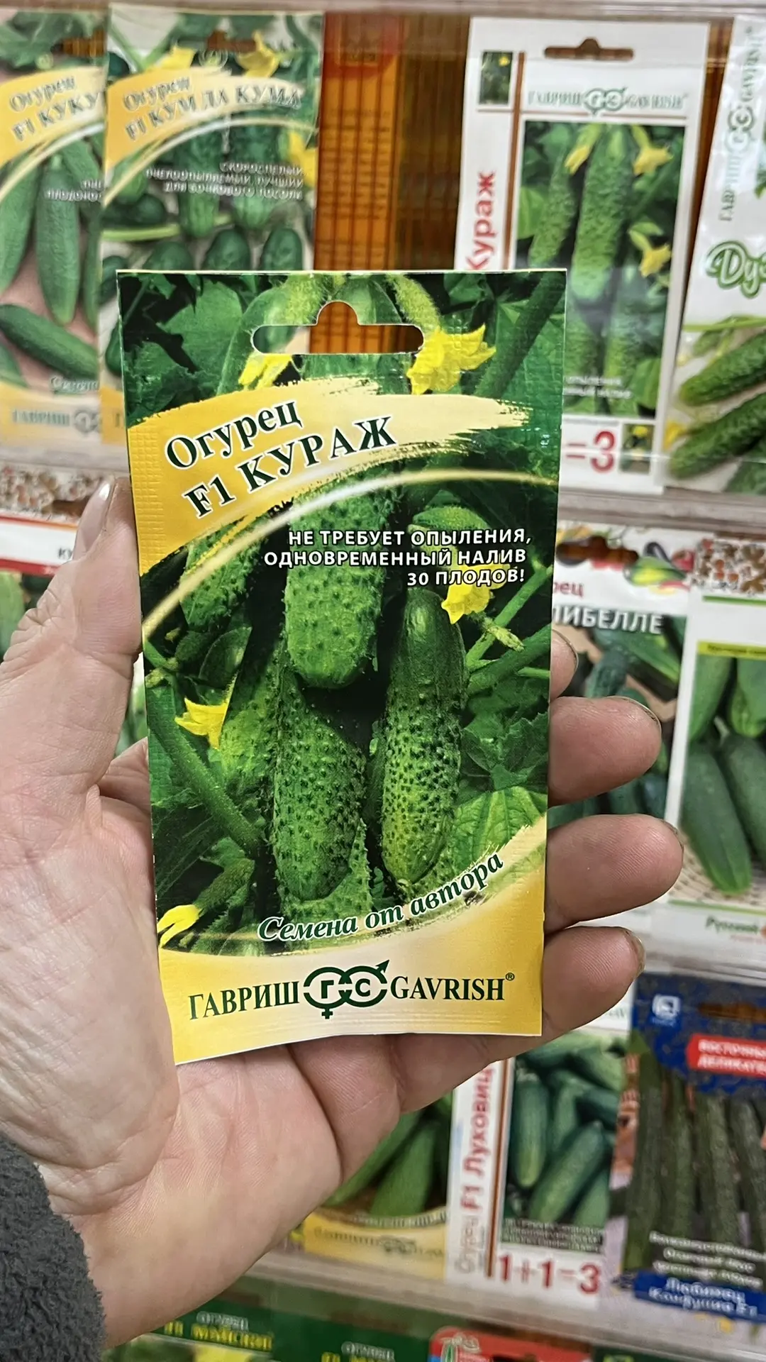 Огурцы 2026 – какие посажу обязательно и какие больше никогда.  #консультантсадовода  Огурцы – сравн