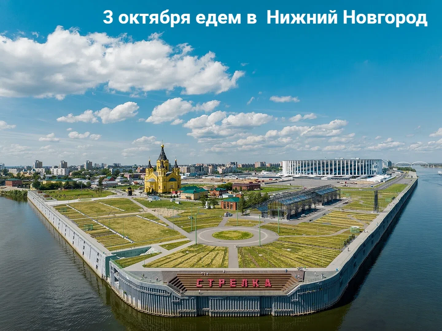 В программе: