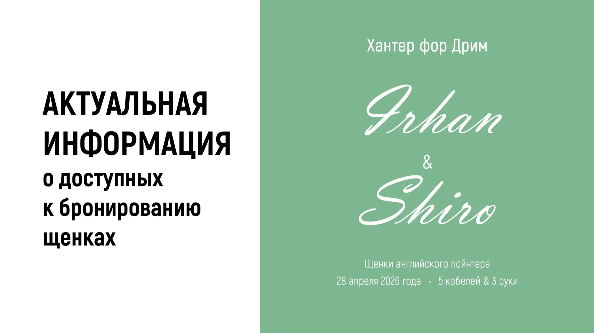 Бронирование щенков