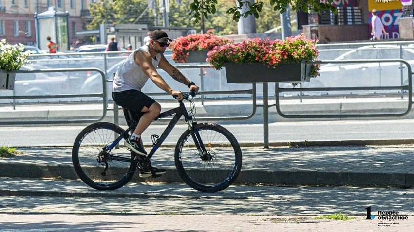 🚴 Челябинцы весной-2026 активно искали тренеров по велоспорту и большому теннису

Горожане готовили