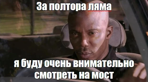 Немногим менее полутора миллионов выделено на мониторинг эстакадного моста. По заданию победитель то