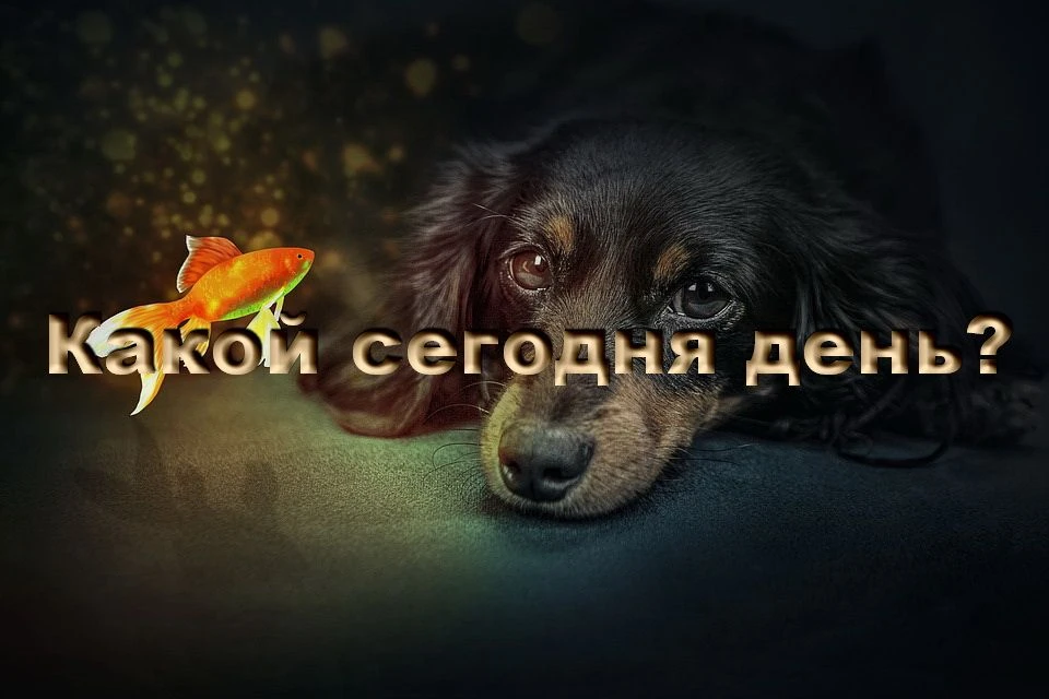 На календаре вторник, 28 июля - День загадывания желаний. Существует очень много ритуалов для загады
