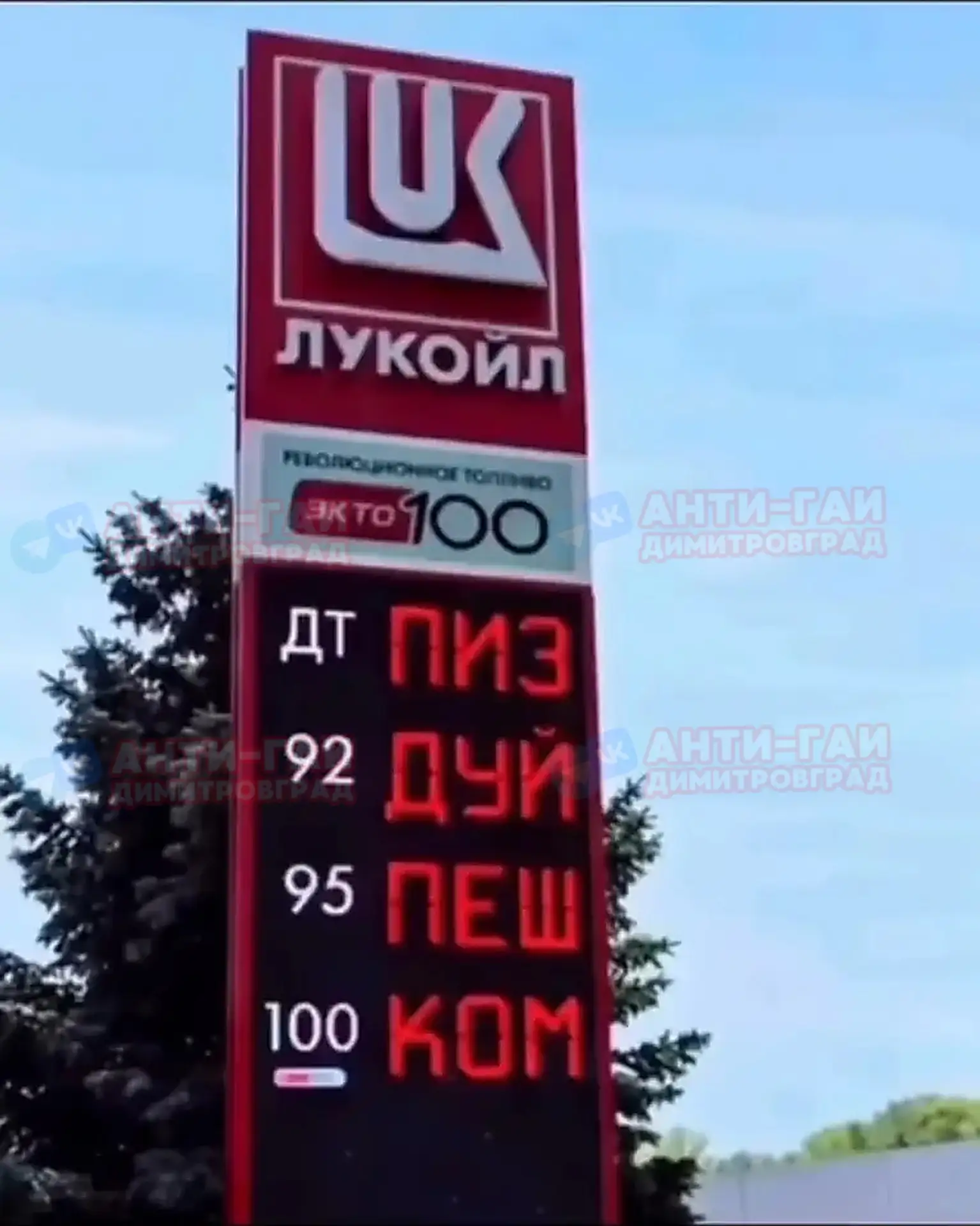 Народное творчество из чата 😁