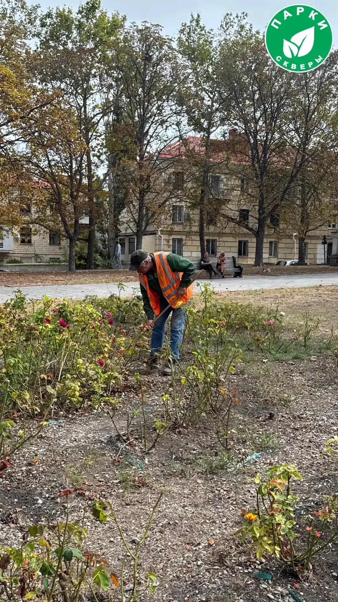 🌹 В сквере у памятника В. И. Ленину специалисты провели плановые работы по сезонному у...
