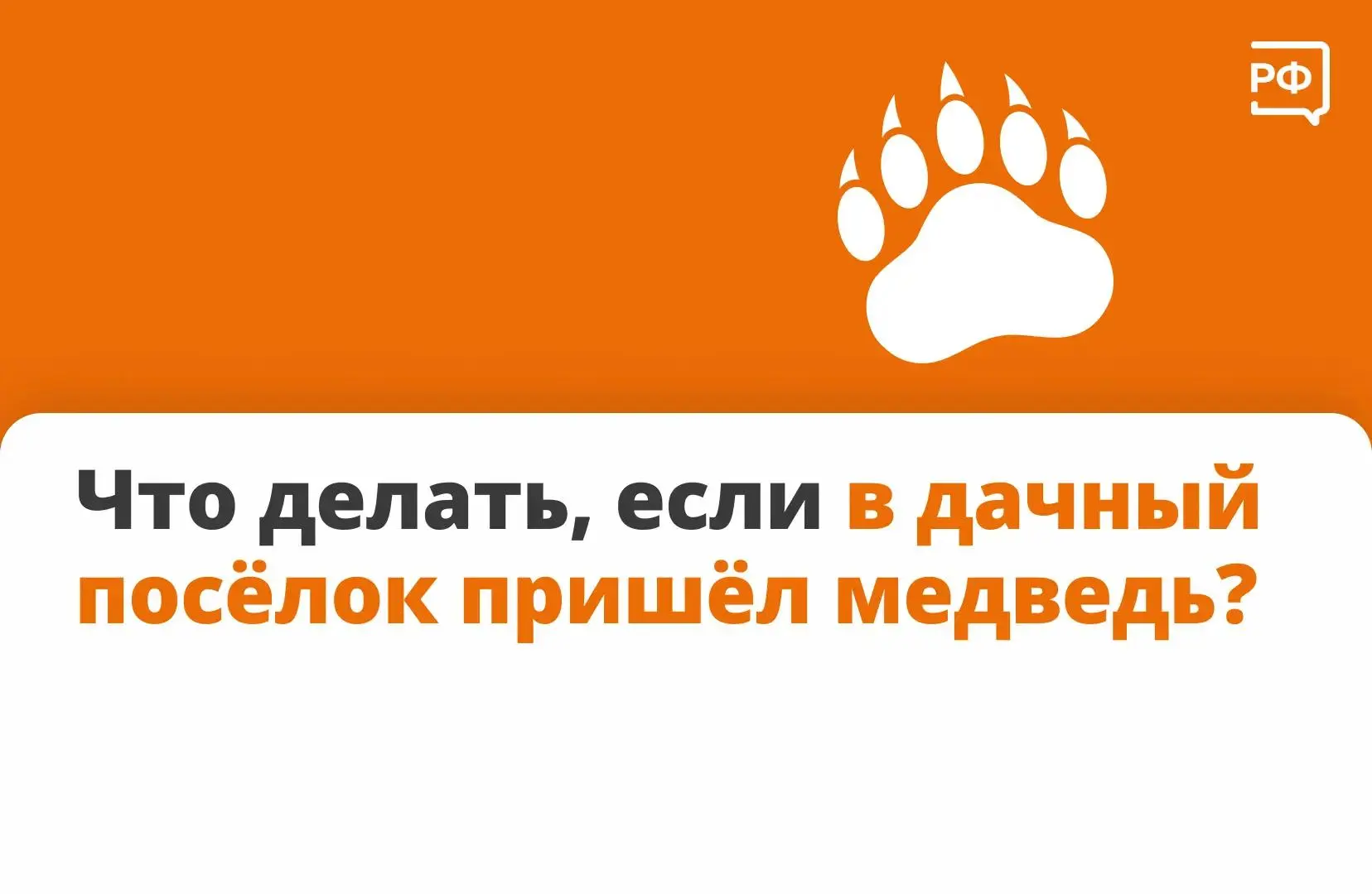 Что делать, если к вам пришёл медведь?