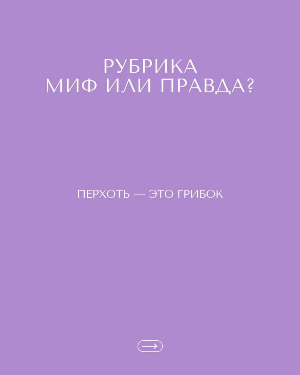 Миф VS правда о перхоти ✨

Перхоть — это сигнал, что коже головы нужен бережный и системный уход. 