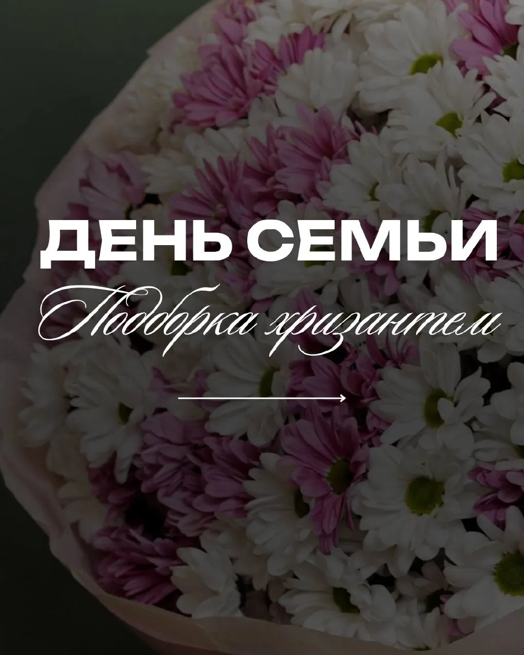 ✨ПОДБОРКА✨