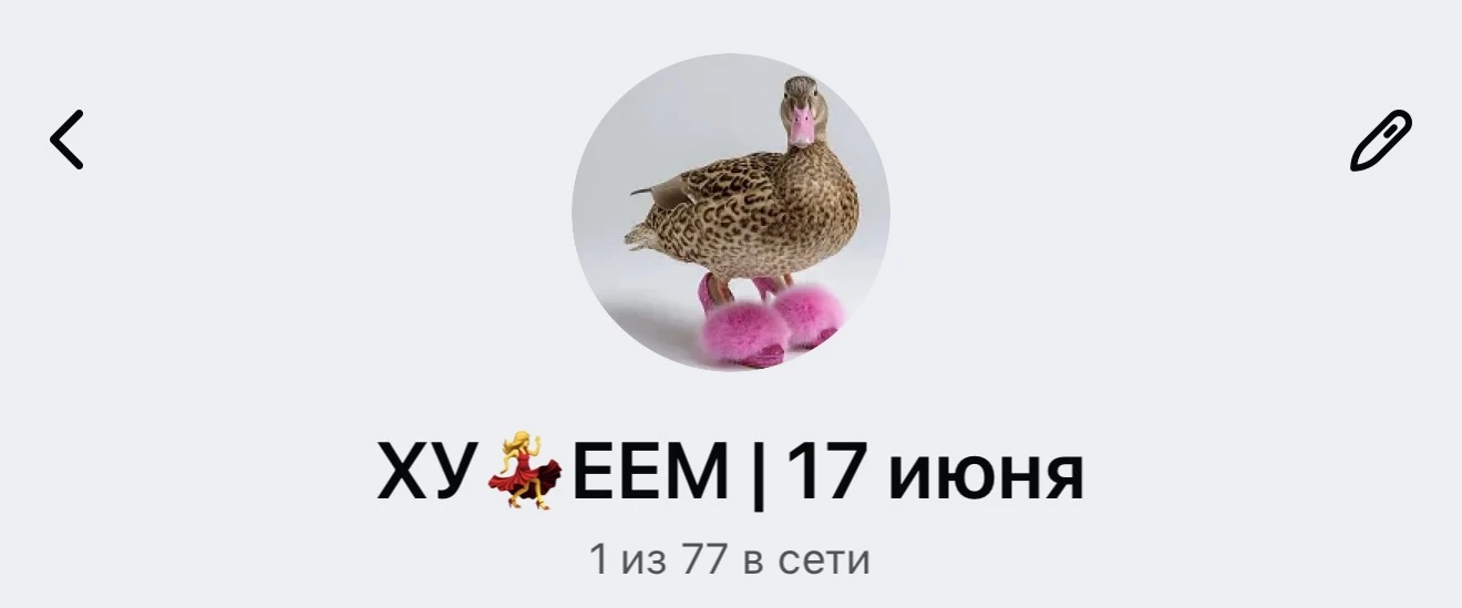я 6 лет не проводила марафоны сама