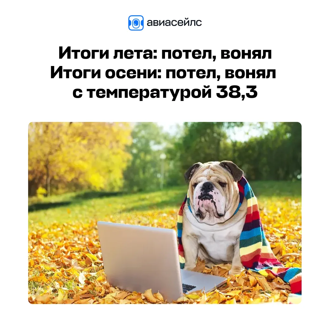 Итоги вашего лета от Авиасейлс