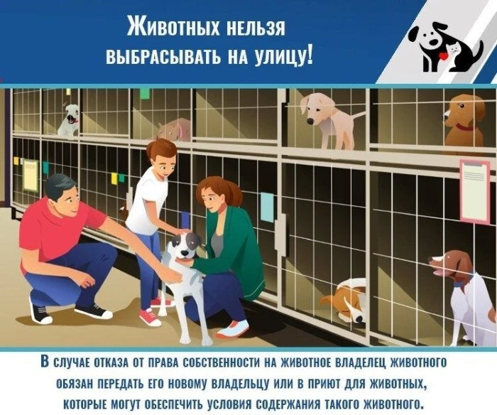 Животных нельзя выбрасывать на улицу!