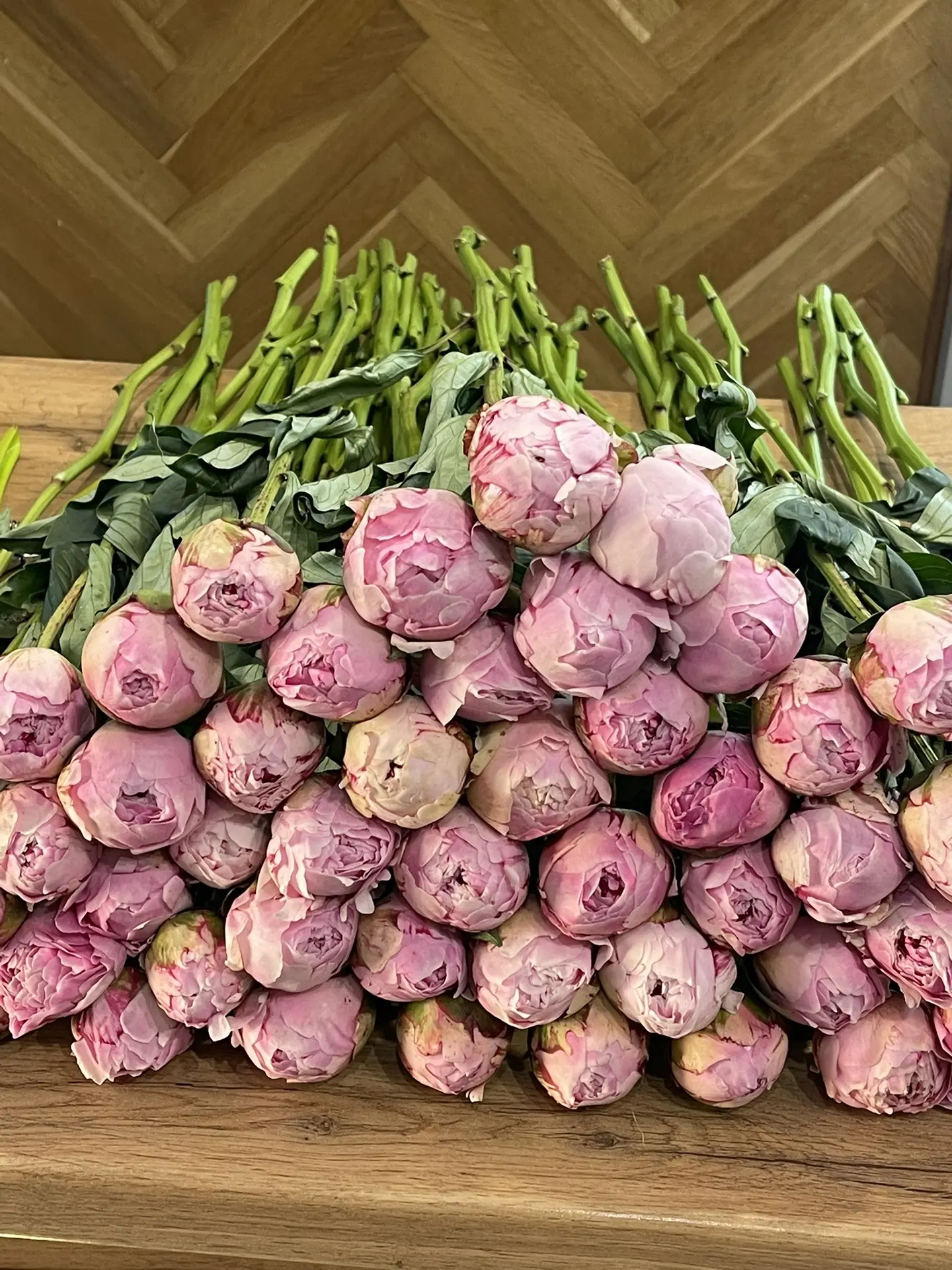 Свежая поставка ваших любимых пионов сорта Сара Бернард❤️ наши флористы соберут для вас...