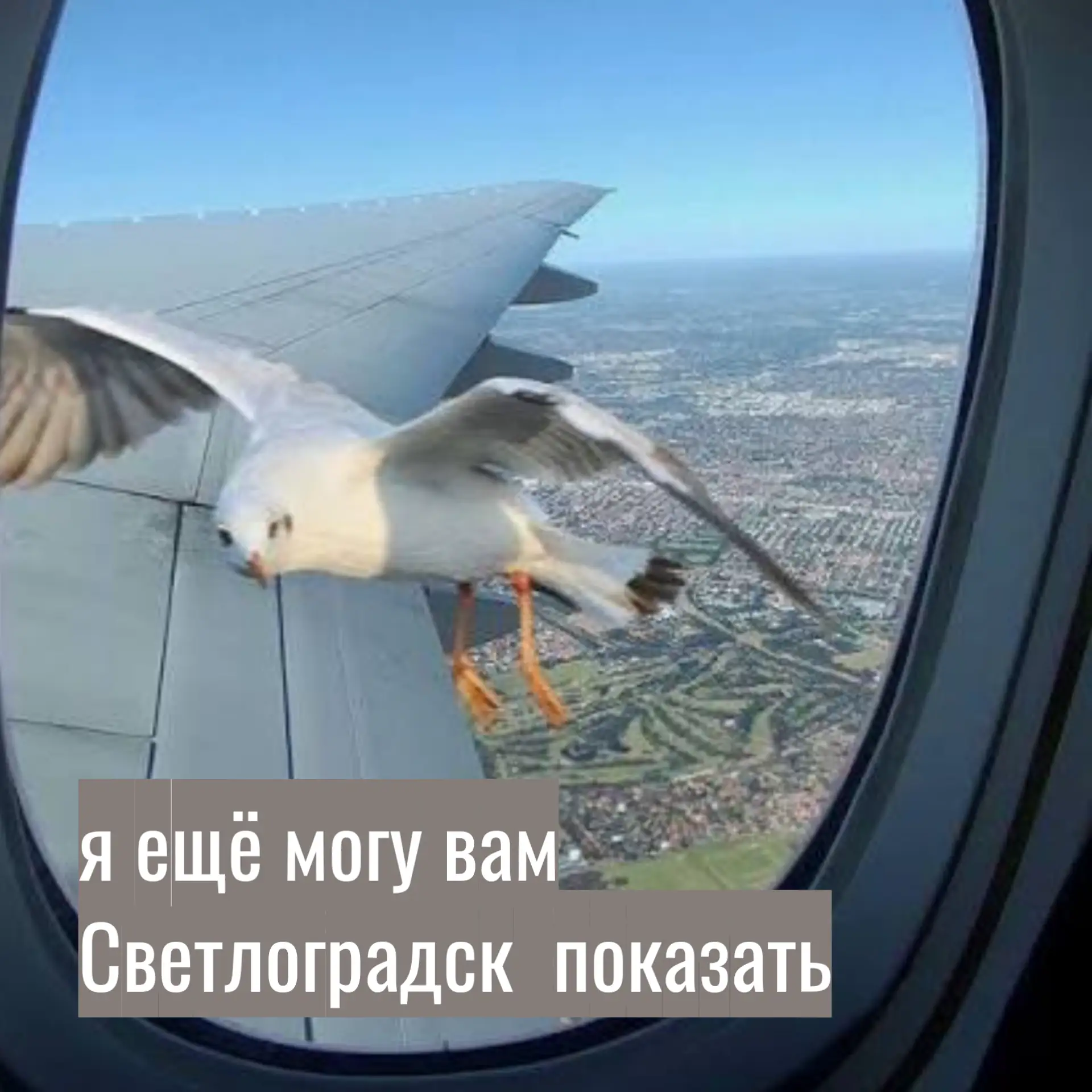 В Зеленоградске задержали гидов нелегалов.