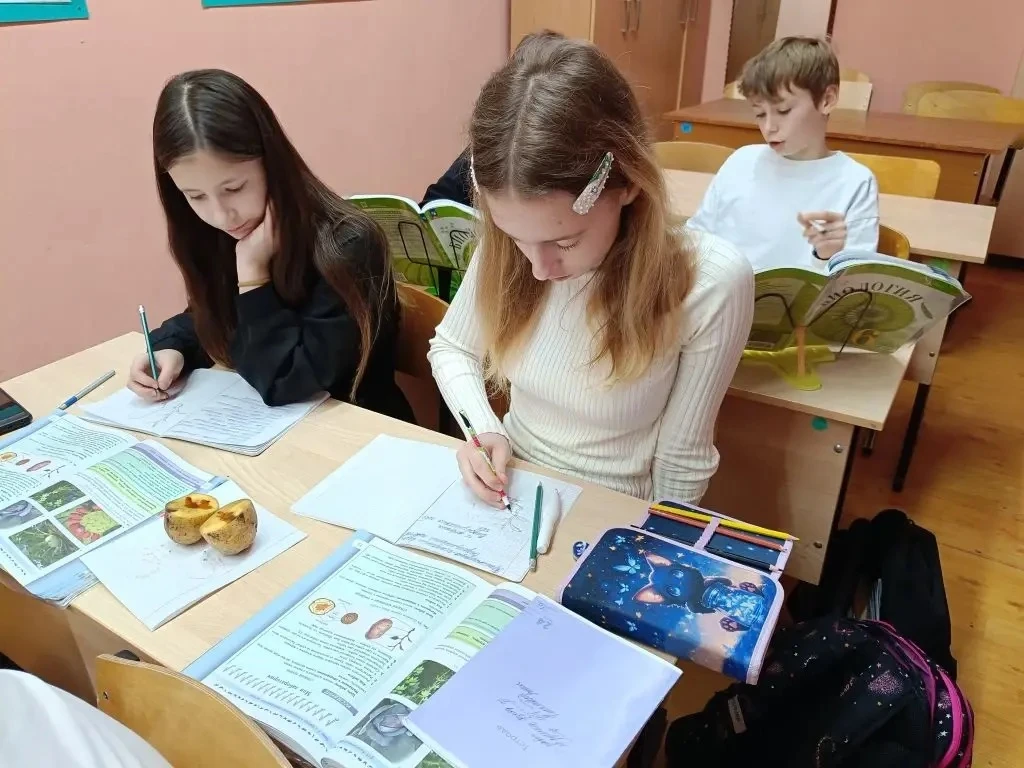 Вести с урока👩🏻‍🏫  Картофель удивительный плод или это побег? Известный нам своими вкусовыми качеств