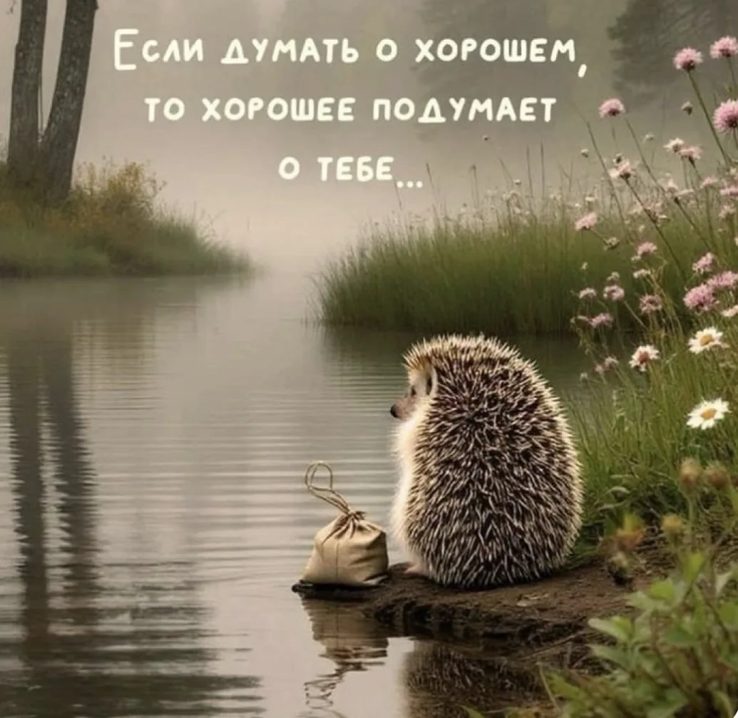 Всем хорошего воскресенья 🌸🔆