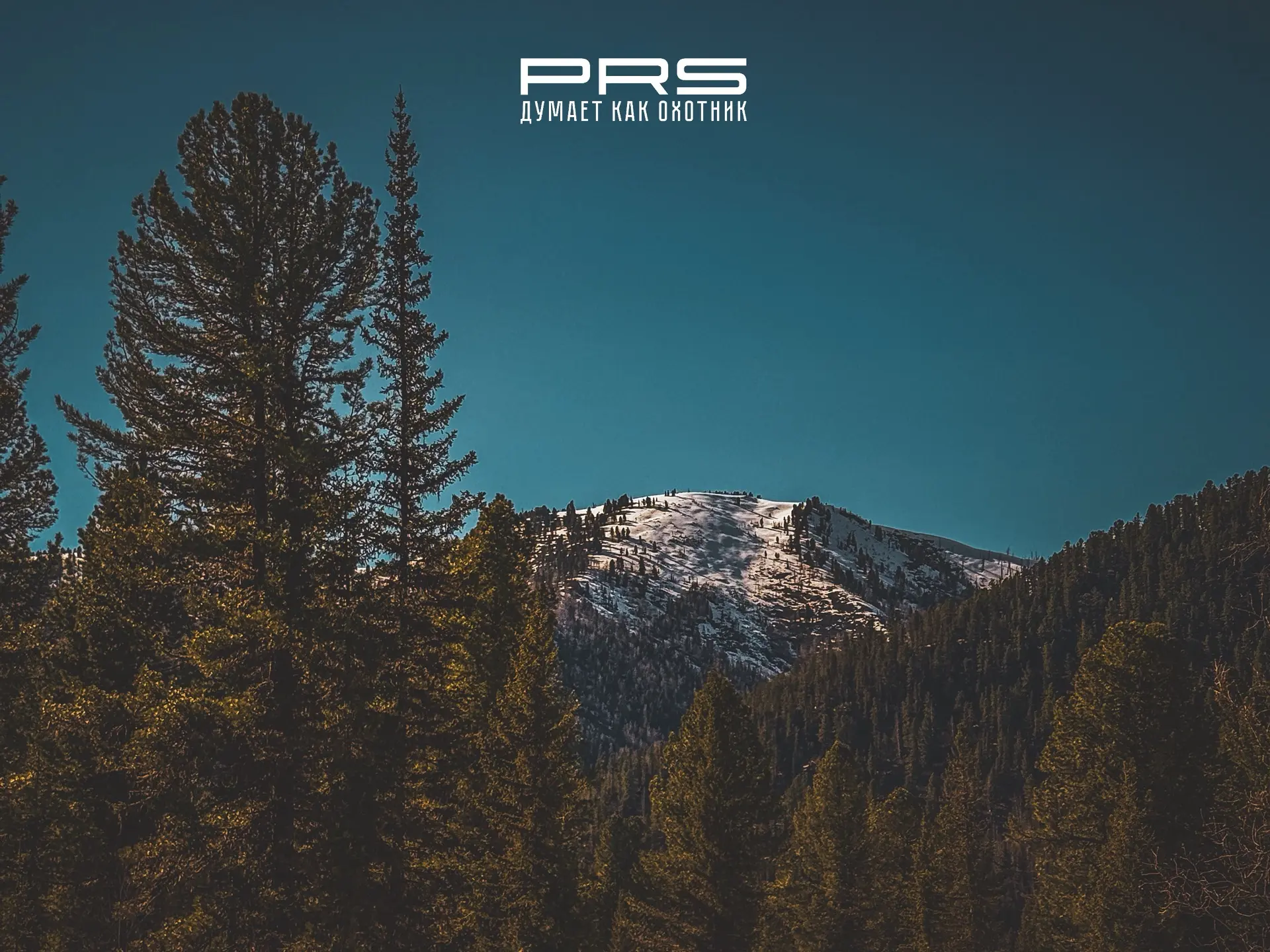 🏔️ Невероятная красота горной тайги