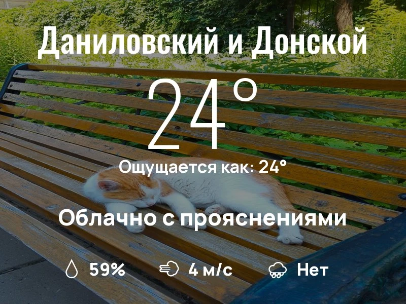 Что с погодой в Даниловском и Донском?