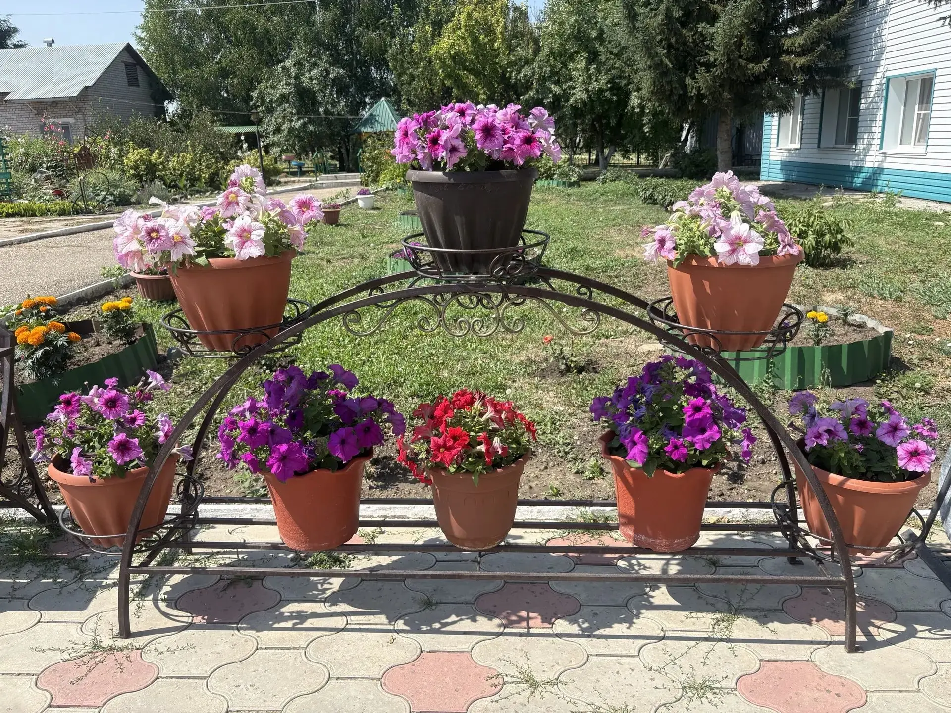 Цветущий уголок заботы и тепла