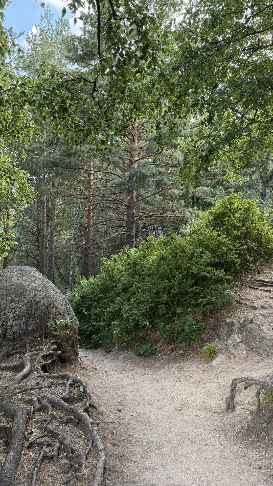 Поднялись на гору Церковка, очень красивый вид. 

Гуляли по лесу и наткнулись на надгробие молодой д