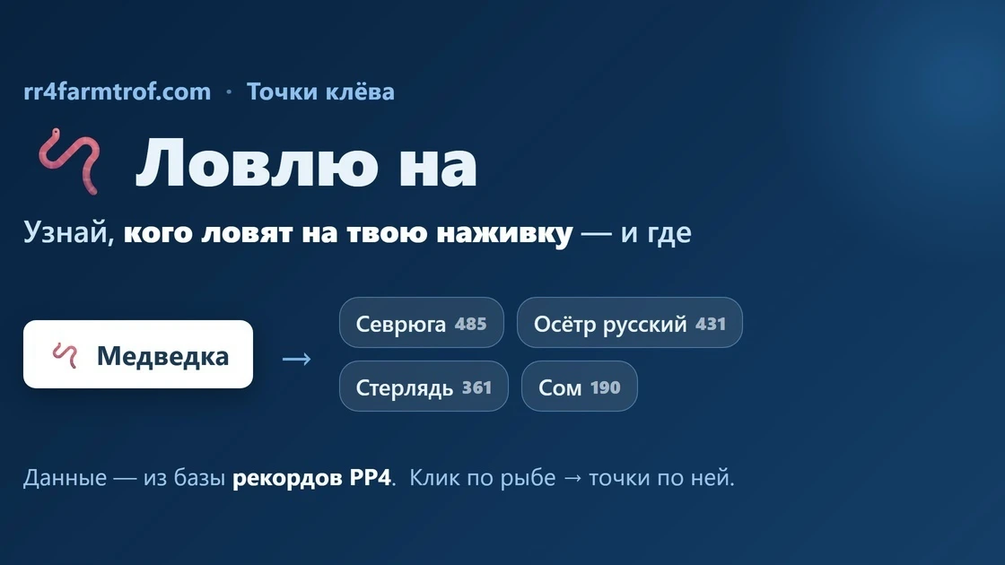 🪱 На «Точках клёва» новый блок — «Ловлю на»