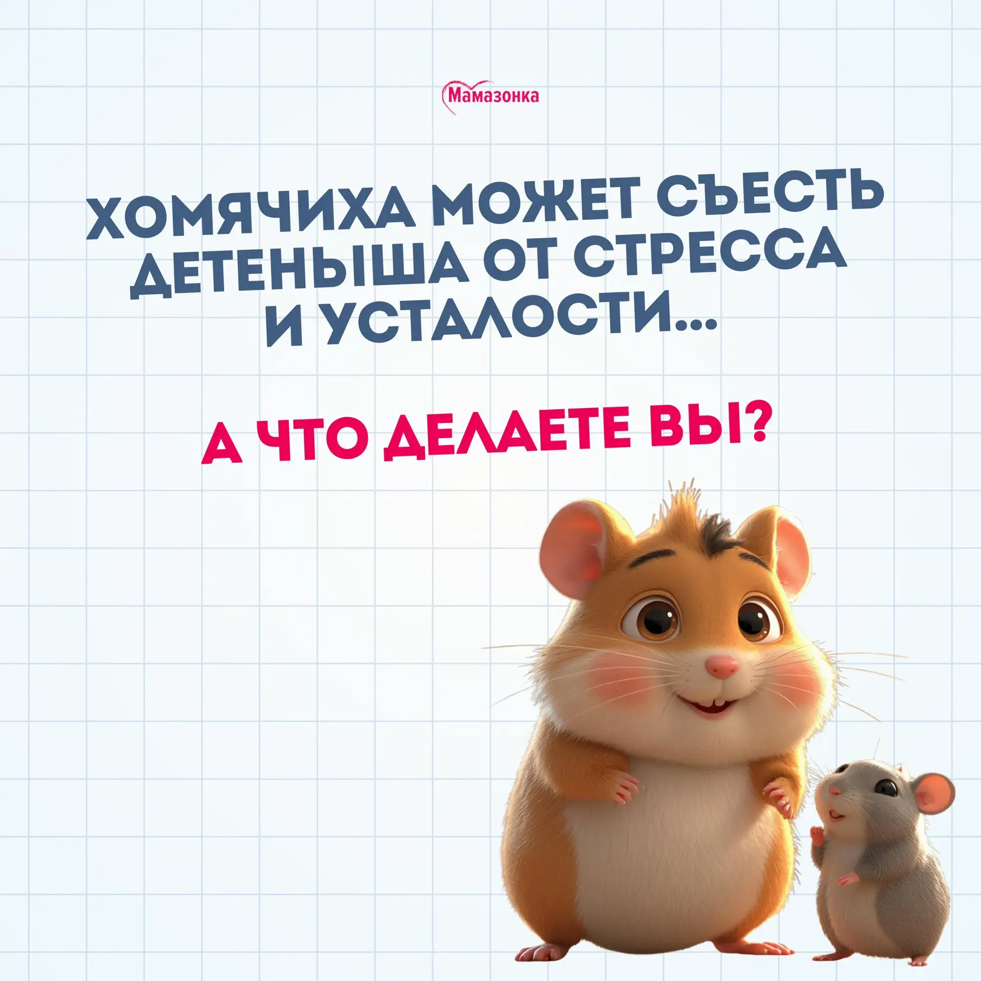 😖 Хомячиха может съесть своего детеныша от стресса и усталости, вы знали?