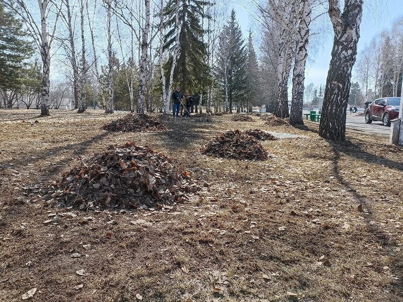 Бердчан приглашают на общегородские субботники  Уборки пройдут сразу на нескольких площадках город
