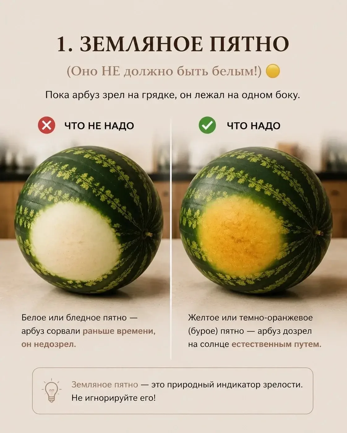 Пора вкусной ягоды 🍉🍉🍉