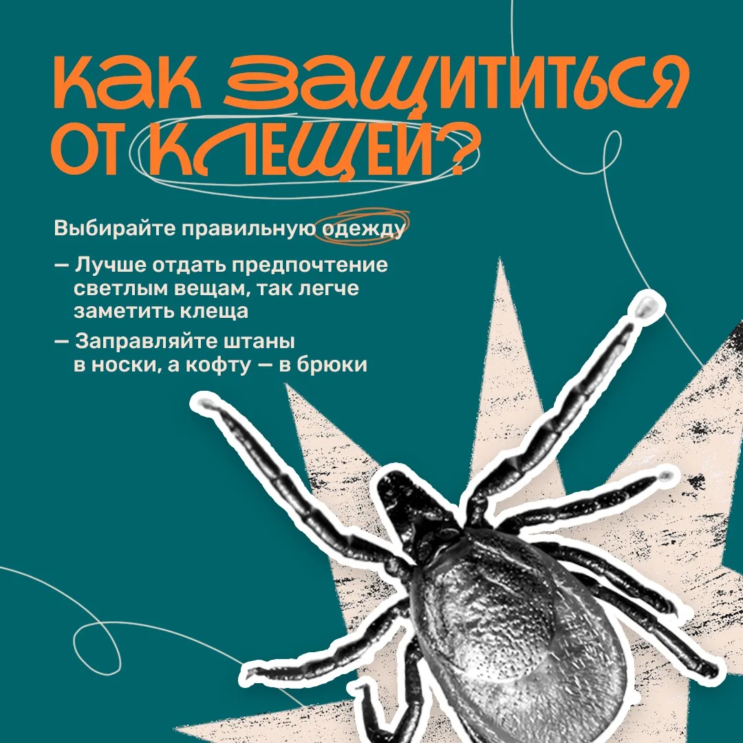 ❗️Начался сезон клещей
