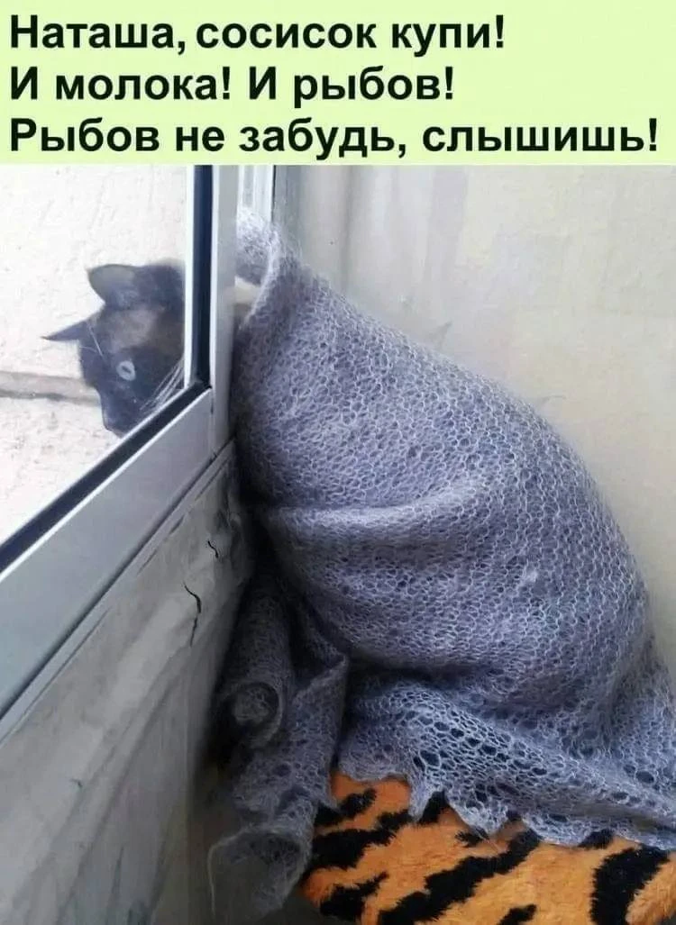 Подпишись на юмор 😂
