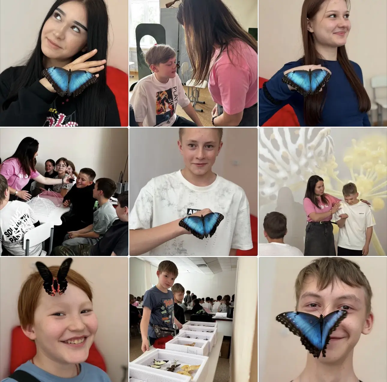 🦋 Мир живых бабочек в первый день лета!