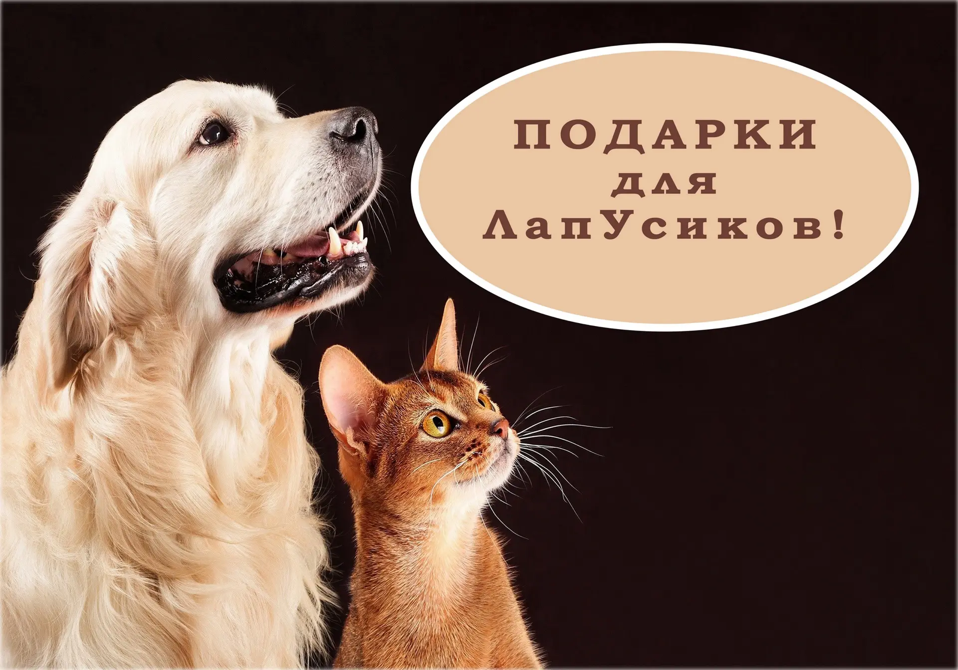 ДОБРЫЕ ДЕЛА КРУГЛЫЙ ГОД!!!