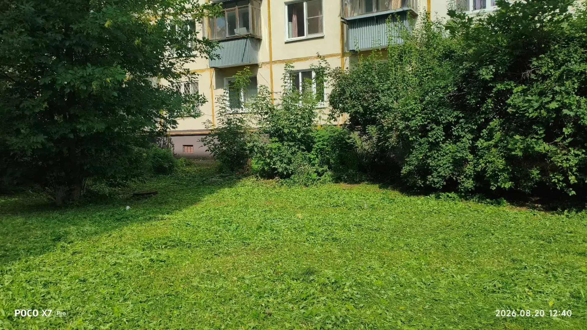 Покос травы на придомовой территории МКД ул. Маршала Красовского, 12, ул. Московская,, ...