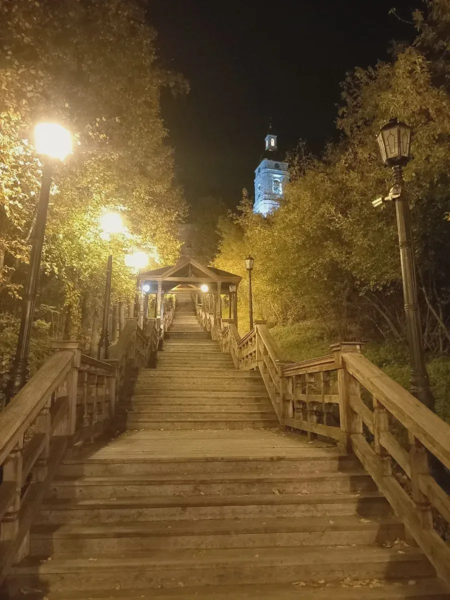 Колокольня над деревьями