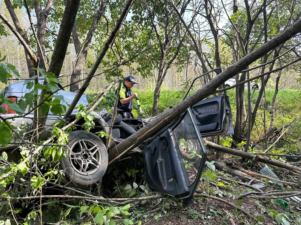 🚑 Управление автомобилем с опасным заболеванием привело к смертельному ДТП вблизи Верх...